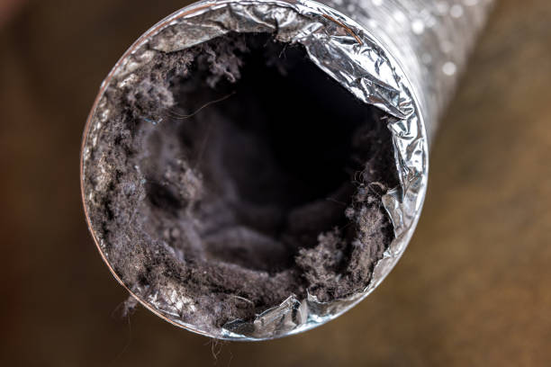 Best Dryer Vent Cleaning Services  in Fairfield Glade, TN