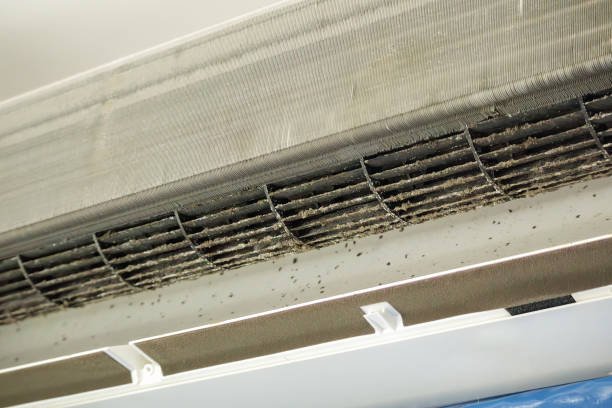 Best Best Air Duct Cleaning Company  in Fairfield Glade, TN